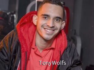 TonyWolfs