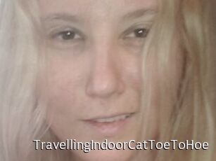 TravellingIndoorCatToeToHoe