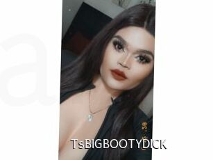 TsBIGBOOTYDICK