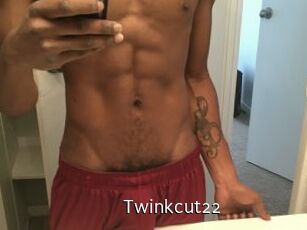 Twinkcut22