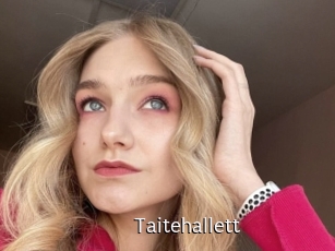 Taitehallett