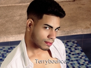 Terrybounce