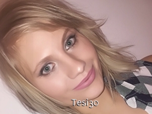 Tesi30