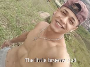 The_little_bruette_228