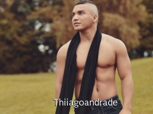 Thiiagoandrade