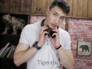 Tigershaun