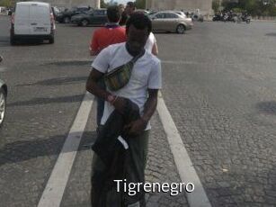 Tigrenegro