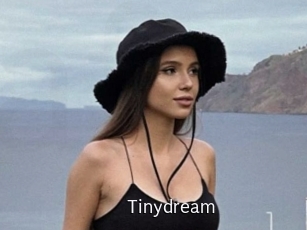 Tinydream