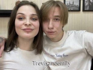 Trevisandemily