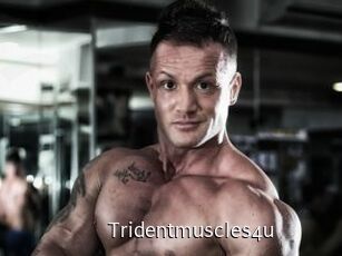 Tridentmuscles4u