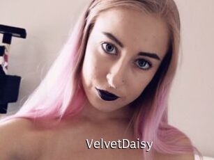 VelvetDaisy