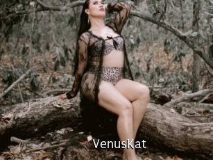 VenusKat