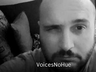 VoicesNoHue