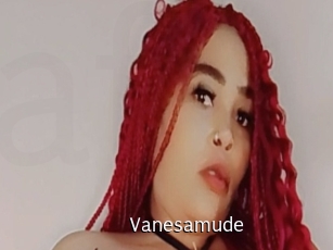 Vanesamude