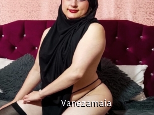 Vanezamaia