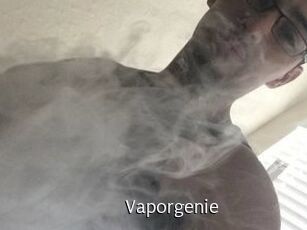 Vapor_genie