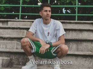 Velamikbarbosa