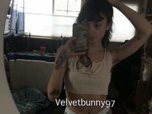 Velvetbunny97