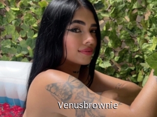 Venusbrownie