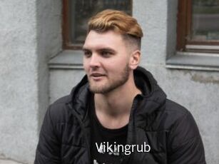 Vikingrub