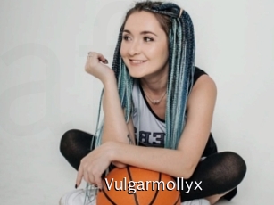 Vulgarmollyx