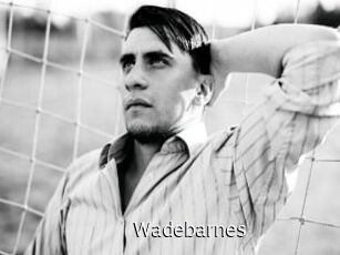 Wadebarnes