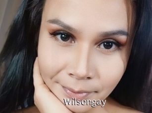 Wilsongay