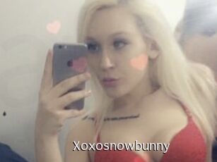 Xoxosnowbunny