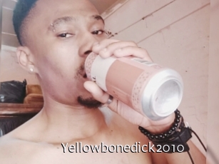 Yellowbonedick2010